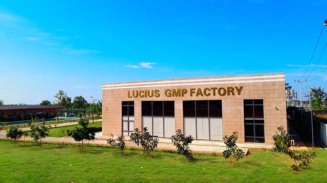 1720600597139427.jpg 卢修斯药厂.jpg